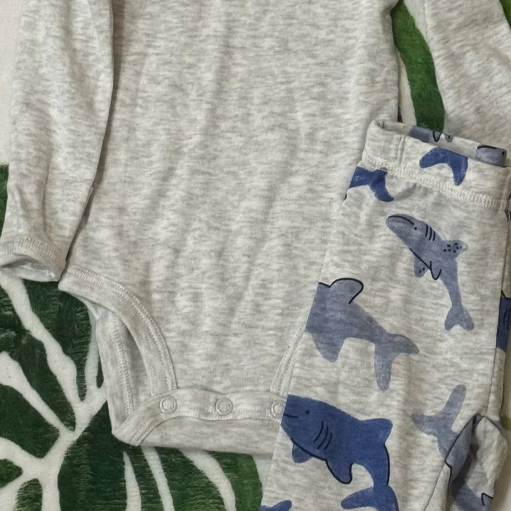 Carter's Baby Clothing Set with Green, Beige, Gray, and Blue Designs - Picture 4 of 6